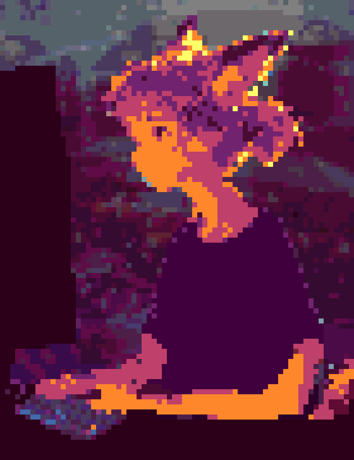 xenia